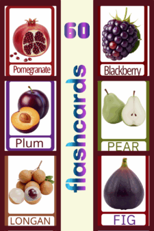 60 Fruit  Educational Flashcards for Kids