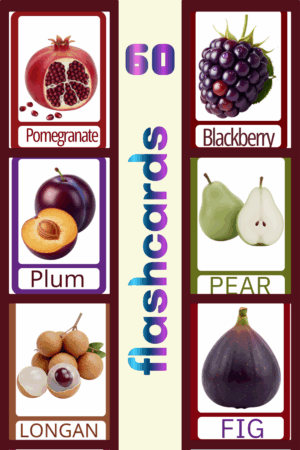 60 Fruit  Educational Flashcards for Kids