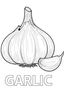 Vegetables Coloring Book